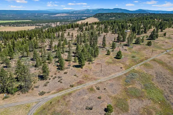 51200 E Whispering Pines Dr, Reardan, WA 99029