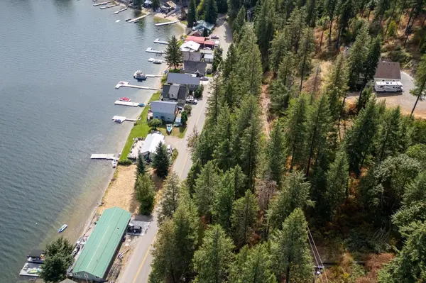 46287 Larson Beach Rd, Loon Lake, WA 99148