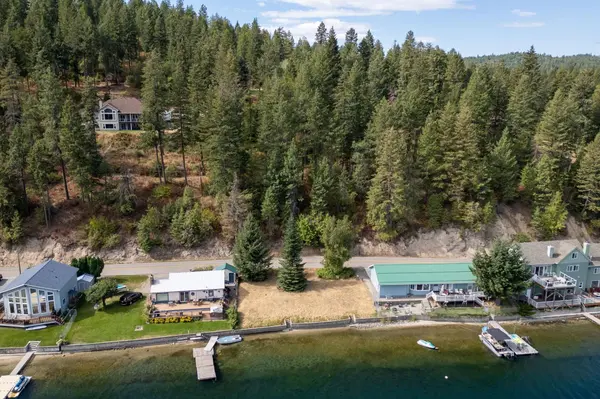 46287 Larson Beach Rd, Loon Lake, WA 99148
