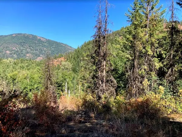 NKA N LeClerc Rd, Ione, WA 99139-0000
