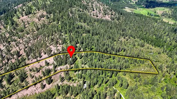 2847 Wrights Valley Rd Rd, Chewelah, WA 99109
