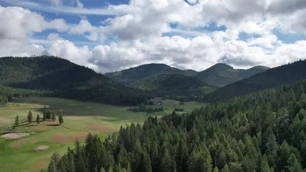 40XX Daisy Mine Rd, Gifford, WA 99131