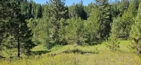 5XXX Olinger Rd, Springdale, WA 99173