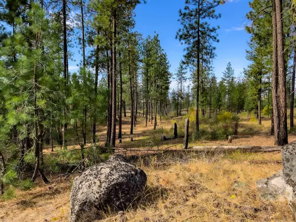 TBD Coyote Canyon Rd, Fruitland, WA 99129