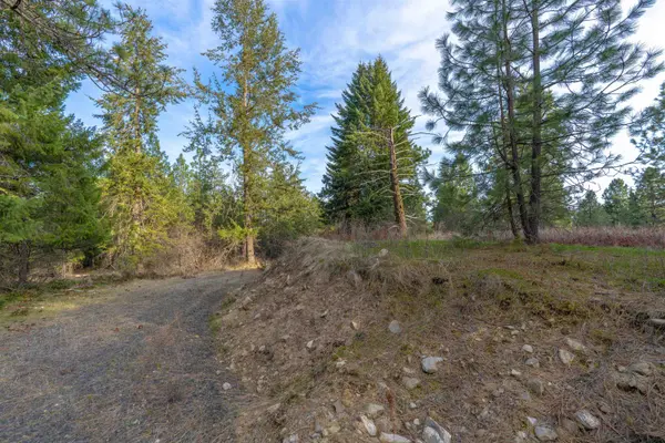 TBD LOT 30 E North Park Ln, Deer Park, WA 99006