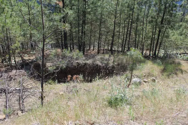 Badger Lot 1&2 Sontag Ridge Ln, Davenport, WA 99122