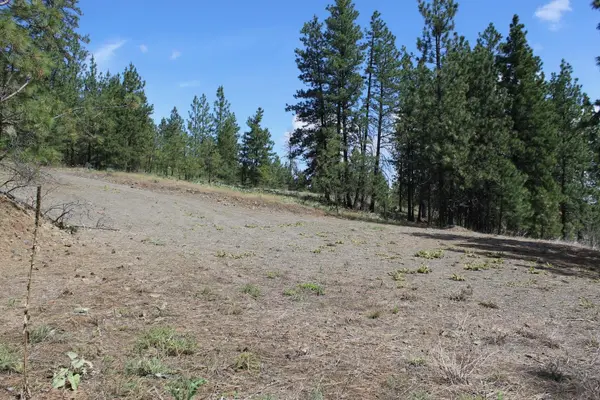 Badger Lot 1&2 Sontag Ridge Ln,  Davenport,  WA 99122