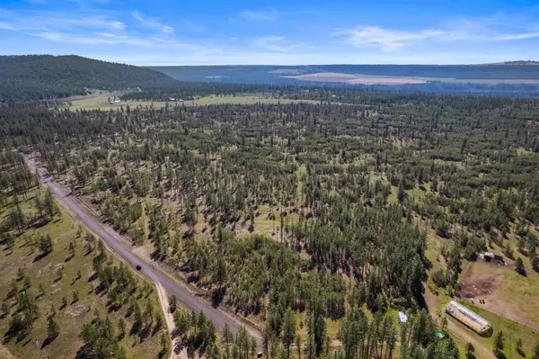 5742 Corkscrew Canyon Rd #Lot #3, Tumtum, WA 99034