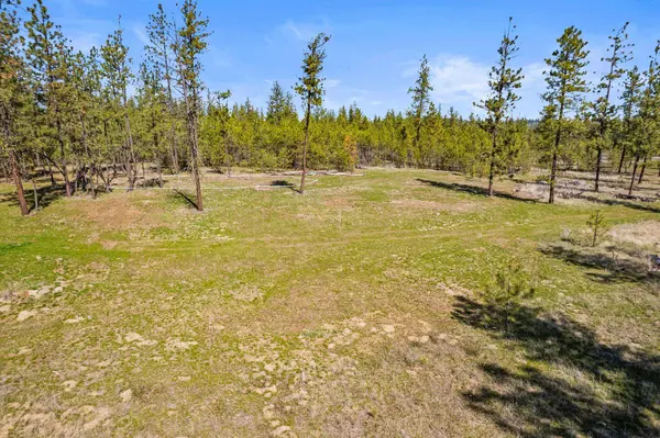 5742 Corkscrew Canyon Rd #Lot #3, Tumtum, WA 99034