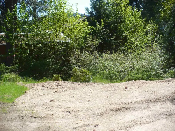 4619 Terrace Rd, Loon Lake, WA 99148