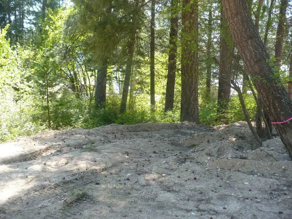 4619 Terrace Rd, Loon Lake, WA 99148