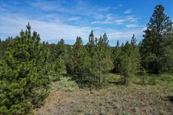 1305 E Wildflower Ln, Spokane, WA 99224