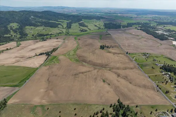 00XXX S Jackson Rd, Lot 19, Mica, WA 99023