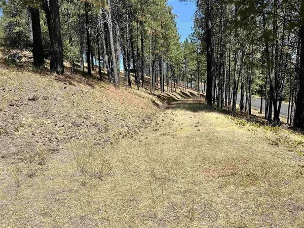 13110 S Fairway Ridge Ln, Spokane, WA 99224