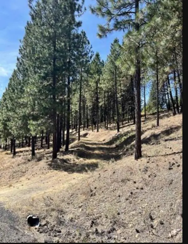 13110 S Fairway Ridge Ln, Spokane, WA 99224