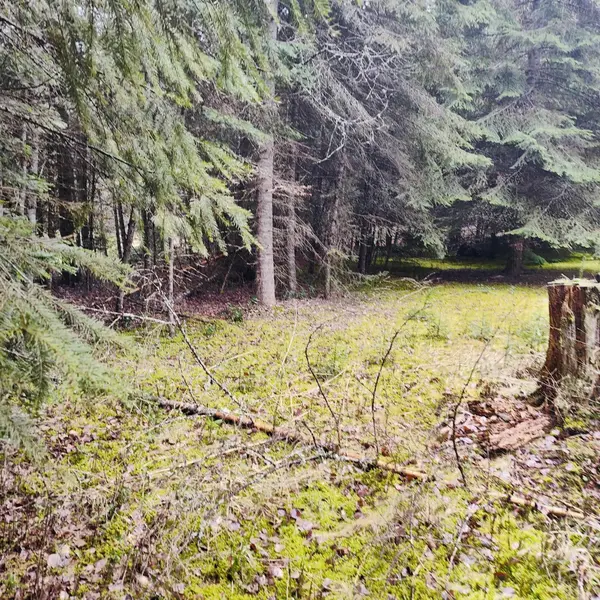1101 Larch Ln, Cusick, WA 99119