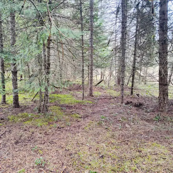 1101 Larch Ln, Cusick, WA 99119