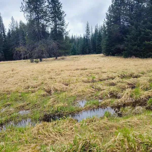 1101 Larch Ln,  Cusick,  WA 99119
