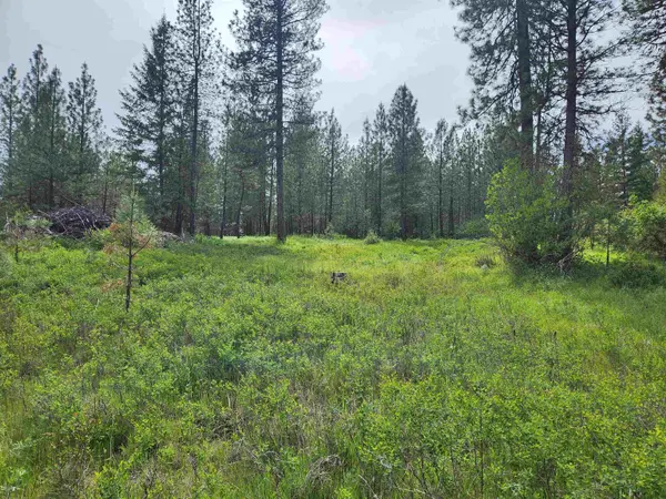 6269 Miller Mountain Rd, Fruitland, WA 99129