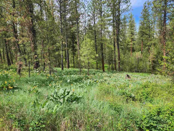 6269 Miller Mountain Rd, Fruitland, WA 99129