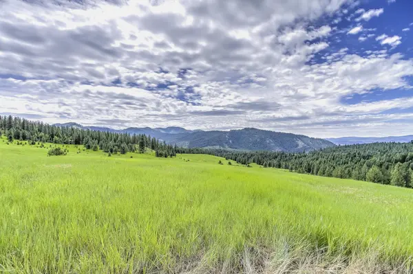 3610 Breckenridge Rd, Rice, WA 99167