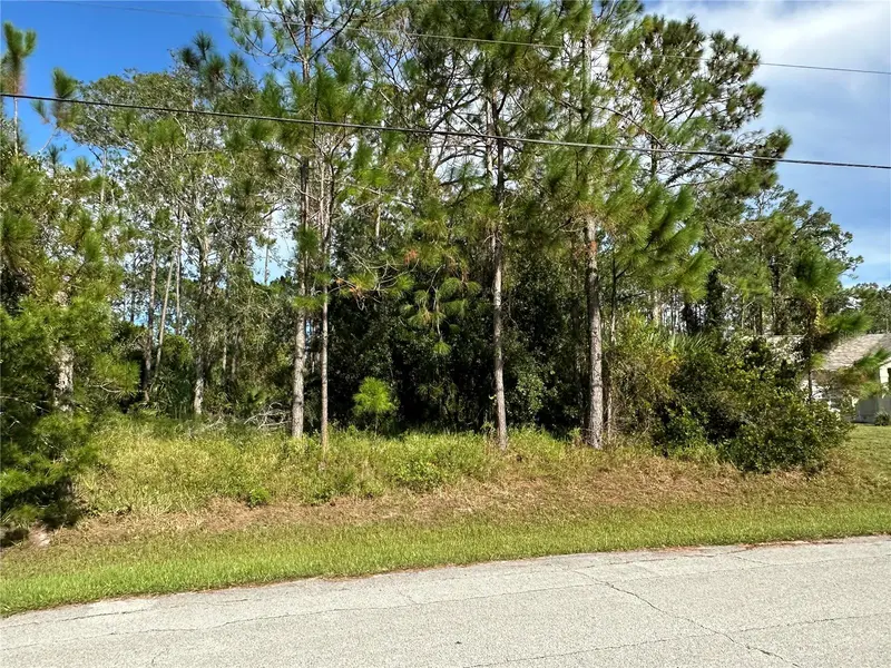 85 PRESIDENTIAL LN, Palm Coast, FL 32164