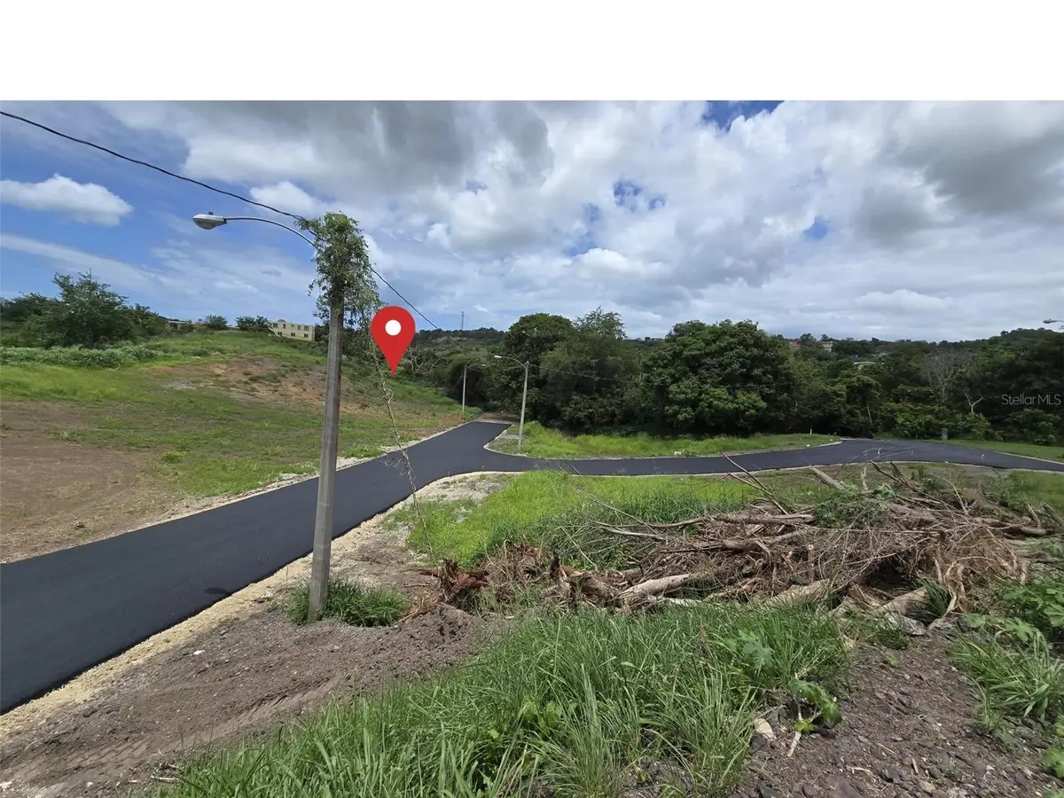 Carr. 103, Km. 10.9 BO. BOQUERÓN, CAMINO LOS FAGUNDO #Solar 5, Cabo Rojo, PR 00623