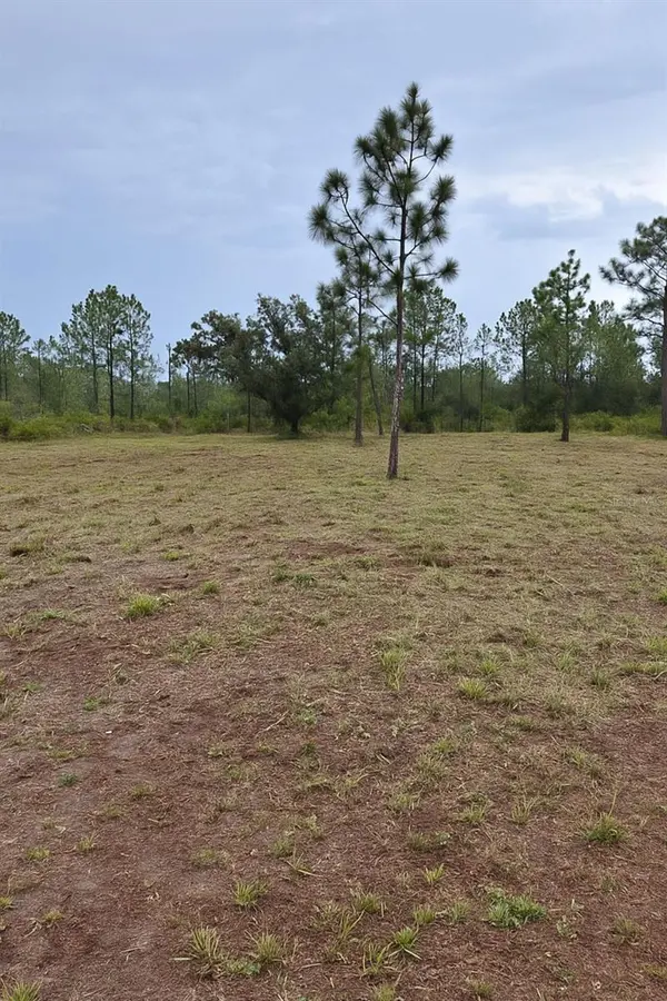 1108 PALM AVE, Indian Lake Estates, FL 33855