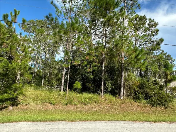 85 PRESIDENTIAL LN, Palm Coast, FL 32164
