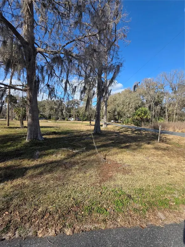 TBD CR 426, Lake Panasoffkee, FL 33538