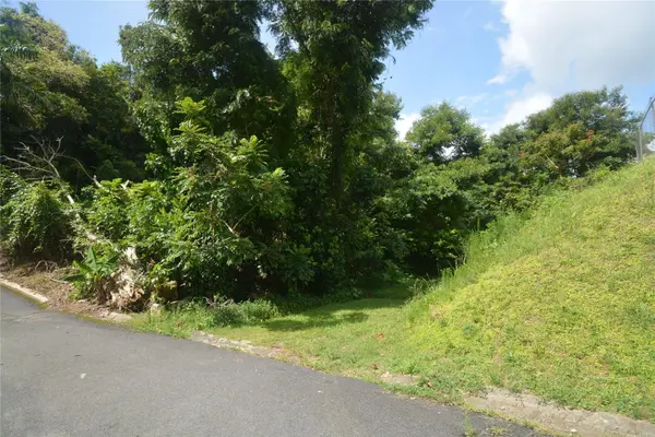 Bo. Marzan PR-820, Toa Alta, PR 00953