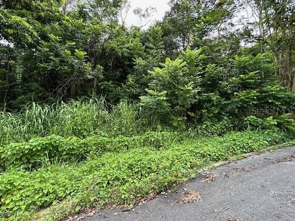 CAMPO NUEVO-AZUCENA 2, Vega Alta, PR 00692