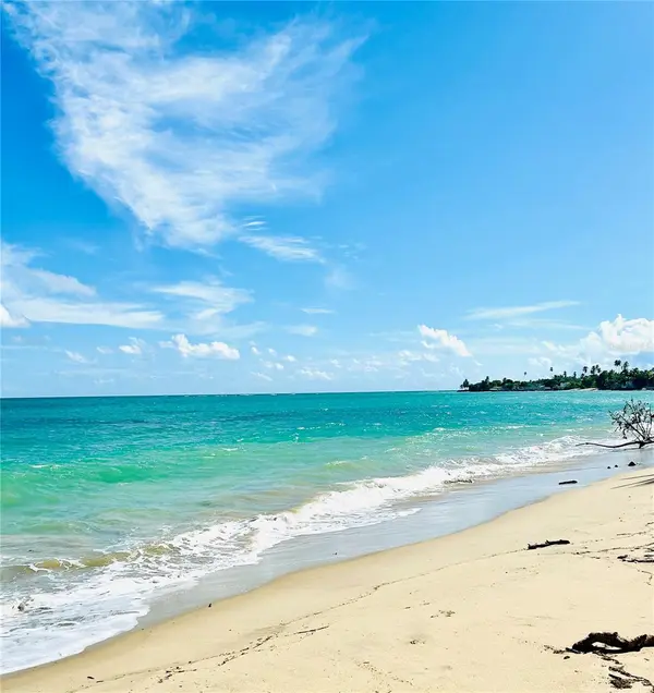 187 SECTOR EL MARTILLO, BARRIO MEDIANIA ALTA #F-304, Loiza, PR 00772