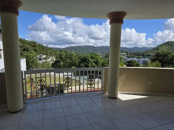 17 DEL RECREO, Caguas, PR 00725