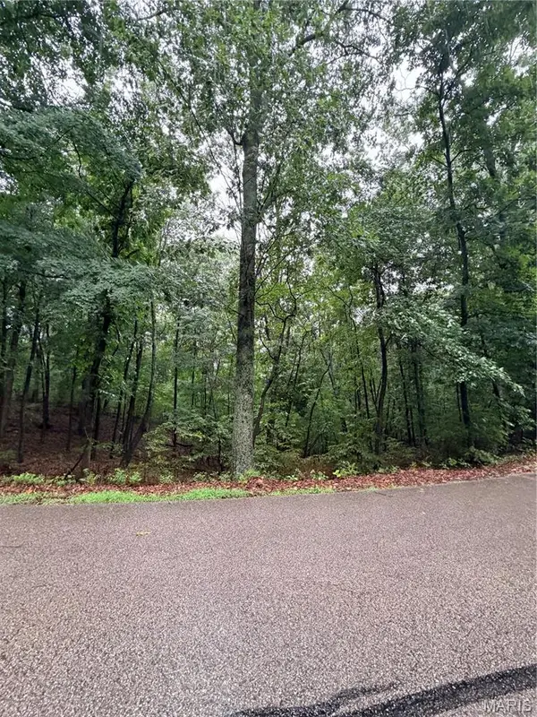 3503 Hawthorne Ridge DR, Fenton, MO 63025