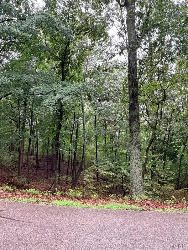 3503 Hawthorne Ridge DR, Fenton, MO 63025