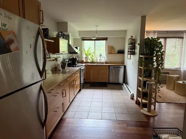 539 W Stratford PL #506, Chicago, IL 60657