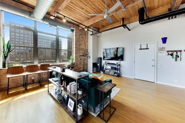 1017 W Washington BLVD #6AB, Chicago, IL 60607