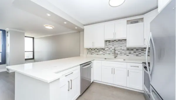 1030 N STATE ST #38M, Chicago, IL 60610