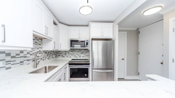 1030 N STATE ST #38M, Chicago, IL 60610