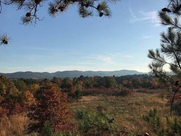 SE 1100th AVE,  Buffalo Valley,  OK 74571