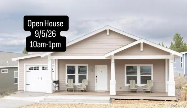 119 Brooklyn CIR, Leadville, CO 80461