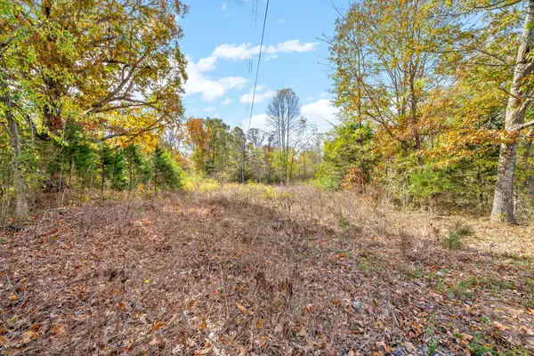 1402 Moore Lane, Southside, TN 37171