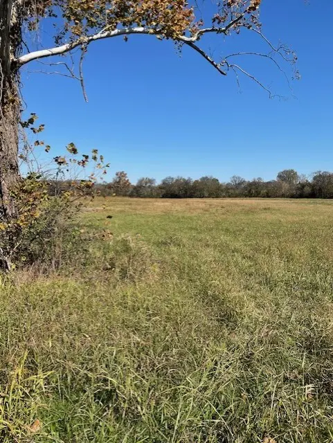 0 Old Nashville Dirt Rd, Shelbyville, TN 37160
