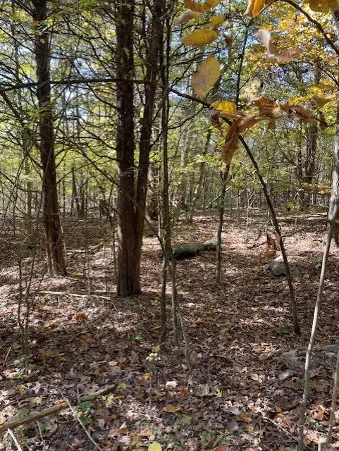 0 Old Nashville Dirt Rd, Shelbyville, TN 37160