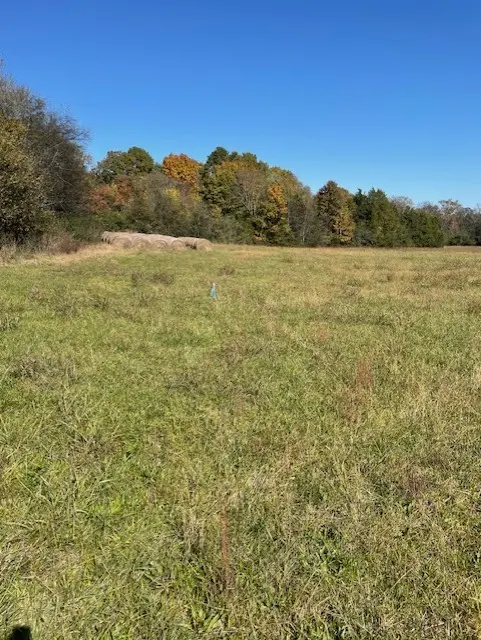 0 Old Nashville Dirt Rd, Shelbyville, TN 37160