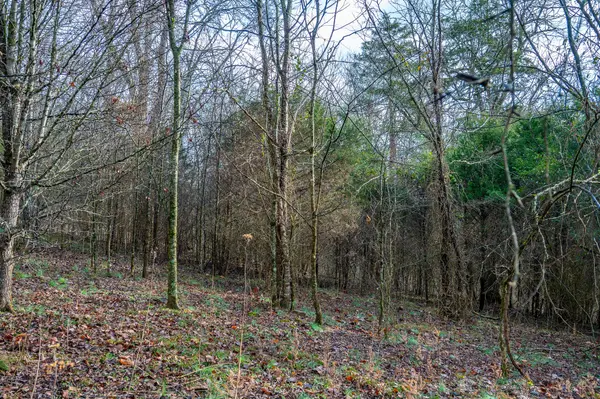 0 Lake Meadow Dr, Smithville, TN 37166