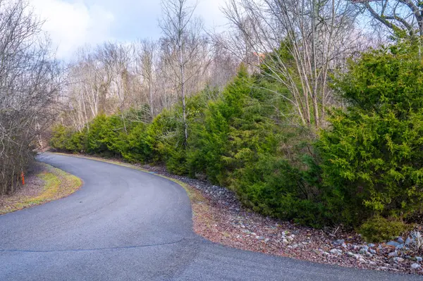 0 Lake Meadow Dr, Smithville, TN 37166