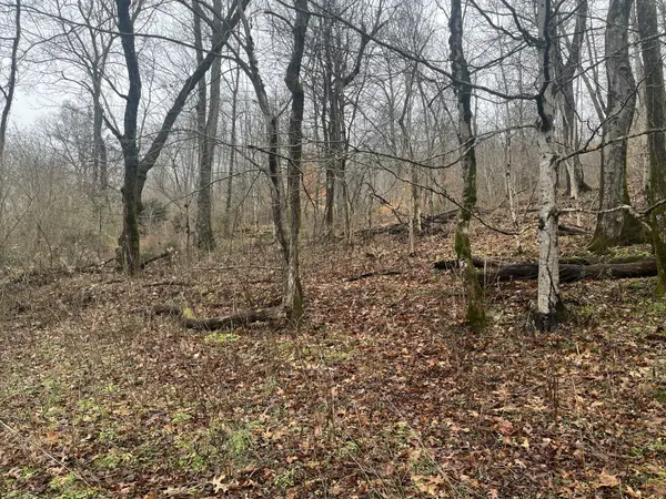 0 Cathcart Rd, Frankewing, TN 38459