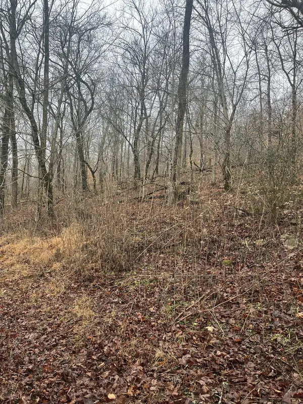 0 Cathcart Rd, Frankewing, TN 38459